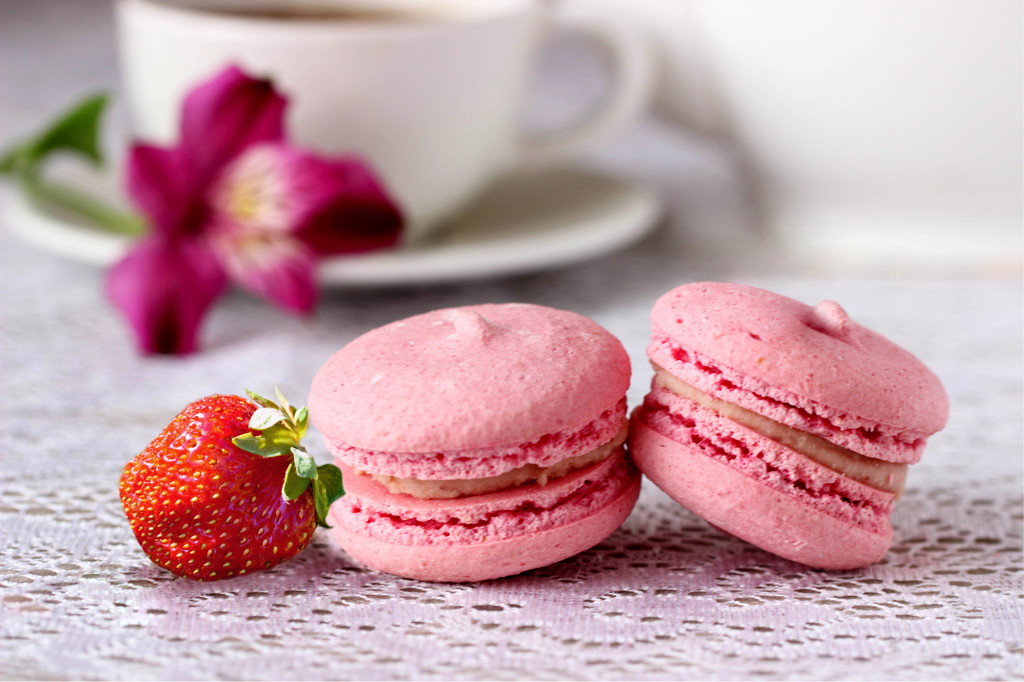 Macaron recipe