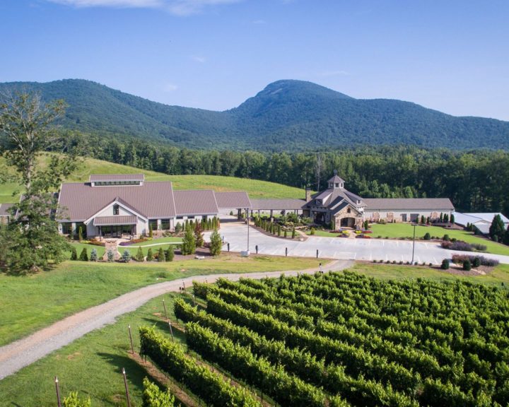 best georgia winery